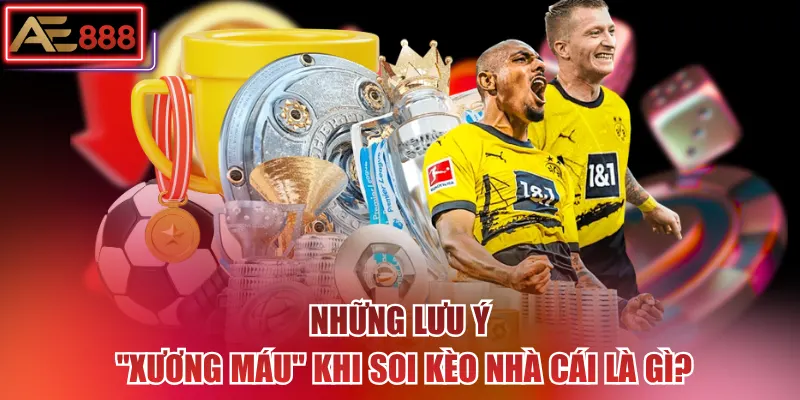 Những lưu ý "xương máu" khi soi kèo nhà cái là gì?